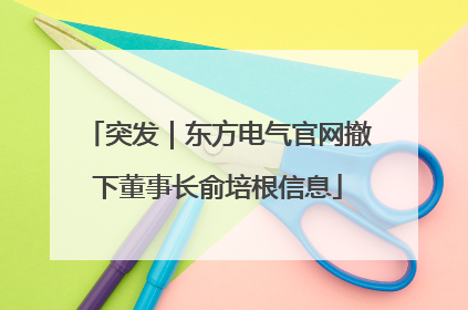 突发｜东方电气官网撤下董事长俞培根信息