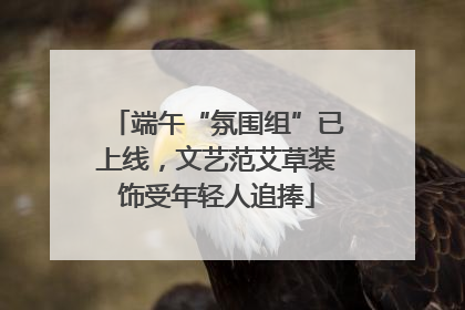端午“氛围组”已上线，文艺范艾草装饰受年轻人追捧