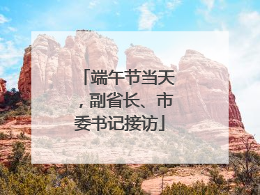 端午节当天，副省长、市委书记接访