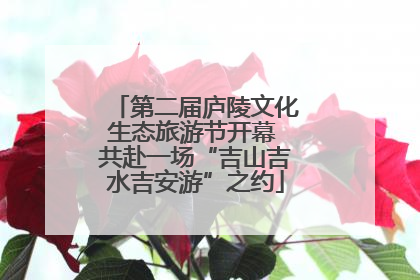 第二届庐陵文化生态旅游节开幕 共赴一场“吉山吉水吉安游”之约
