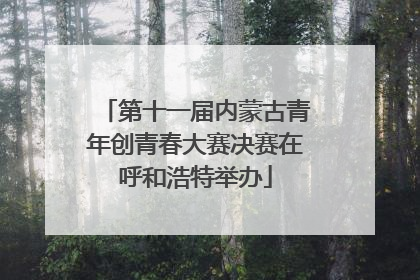 第十一届内蒙古青年创青春大赛决赛在呼和浩特举办