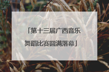 第十三届广西音乐舞蹈比赛圆满落幕