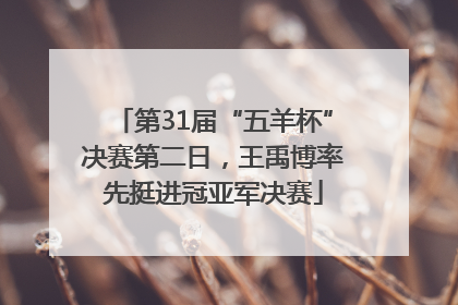 第31届“五羊杯”决赛第二日，王禹博率先挺进冠亚军决赛