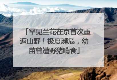 罕见兰花在京首次重返山野！极度濒危，幼苗曾遭野猪啃食