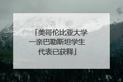 美哥伦比亚大学一亲巴勒斯坦学生代表已获释