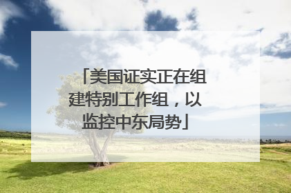 美国证实正在组建特别工作组，以监控中东局势