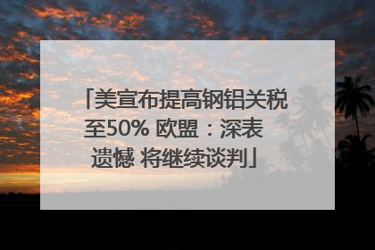 美宣布提高钢铝关税至50% 欧盟：深表遗憾 将继续谈判