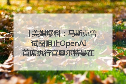 美媒爆料：马斯克曾试图阻止OpenAI首席执行官奥尔特曼在中东的AI交易