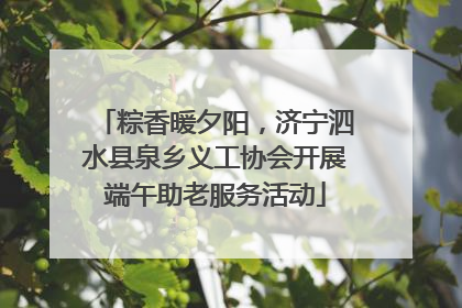 粽香暖夕阳，济宁泗水县泉乡义工协会开展端午助老服务活动