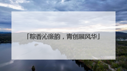 粽香沁廉韵，青创展风华