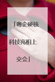 粤企硬核科技亮相上交会