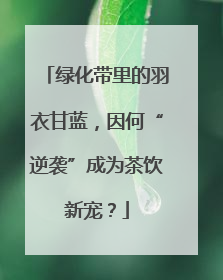绿化带里的羽衣甘蓝，因何“逆袭”成为茶饮新宠？