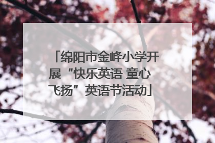 绵阳市金峰小学开展“快乐英语 童心飞扬”英语节活动