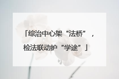 综治中心架“法桥”，检法联动护“学途”