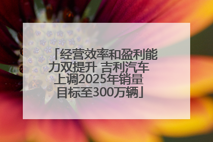 经营效率和盈利能力双提升 吉利汽车上调2025年销量目标至300万辆