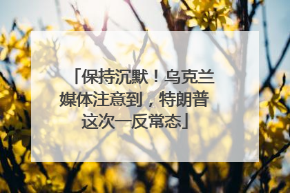 保持沉默！乌克兰媒体注意到，特朗普这次一反常态