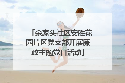 余家头社区安胜花园片区党支部开展廉政主题党日活动