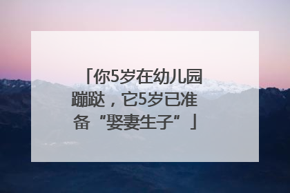 你5岁在幼儿园蹦跶，它5岁已准备“娶妻生子”