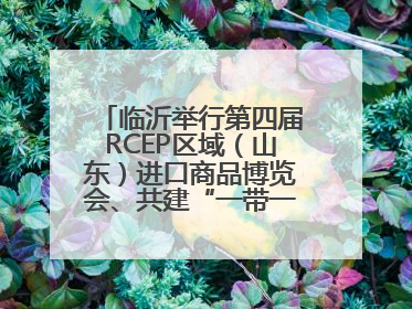 临沂举行第四届RCEP区域（山东）进口商品博览会、共建“一带一路”第三届临沂商城国际采购商大会新闻发布会