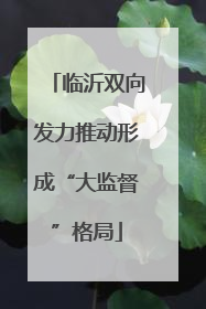 临沂双向发力推动形成“大监督”格局