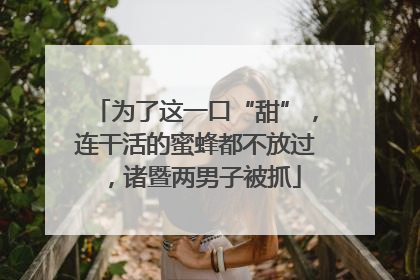 为了这一口“甜”，连干活的蜜蜂都不放过，诸暨两男子被抓