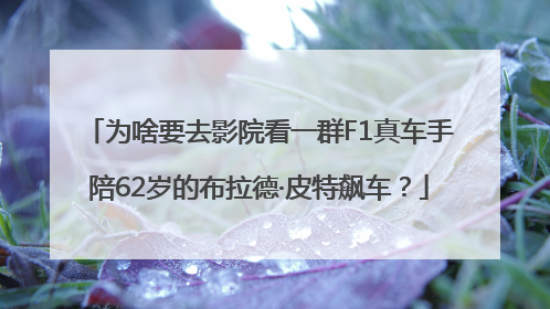 为啥要去影院看一群F1真车手陪62岁的布拉德·皮特飙车？
