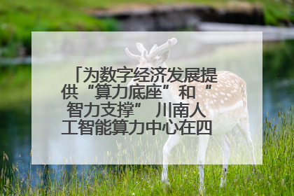为数字经济发展提供“算力底座”和“智力支撑” 川南人工智能算力中心在四川泸州启动