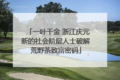一叶千金 浙江庆元新的社会阶层人士破解荒野茶致富密码