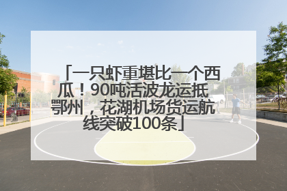 一只虾重堪比一个西瓜！90吨活波龙运抵鄂州，花湖机场货运航线突破100条