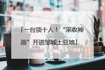 一台顶十人！“采收神器”开进邹城土豆地
