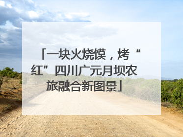 一块火烧馍，烤“红”四川广元月坝农旅融合新图景