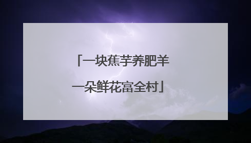 一块蕉芋养肥羊 一朵鲜花富全村
