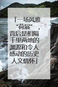 一场风雅“荷展”，背后是相隔千里两地的渊源和令人感动的历史人文情怀