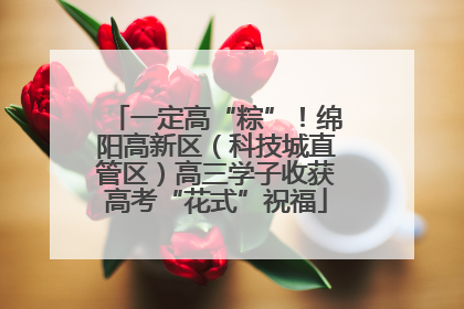 一定高“粽”！绵阳高新区（科技城直管区）高三学子收获高考“花式”祝福