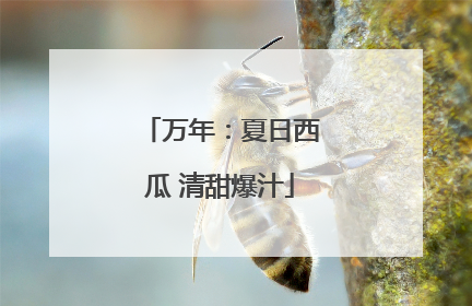 万年：夏日西瓜 清甜爆汁