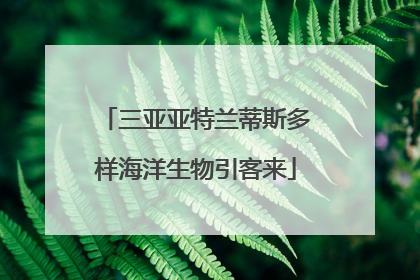 三亚亚特兰蒂斯多样海洋生物引客来