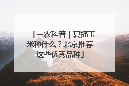三农科普｜夏播玉米种什么？北京推荐这些优秀品种