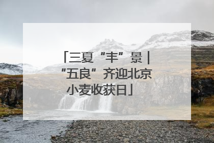 三夏“丰”景｜“五良”齐迎北京小麦收获日