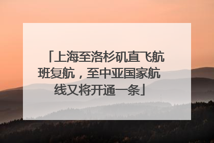 上海至洛杉矶直飞航班复航，至中亚国家航线又将开通一条