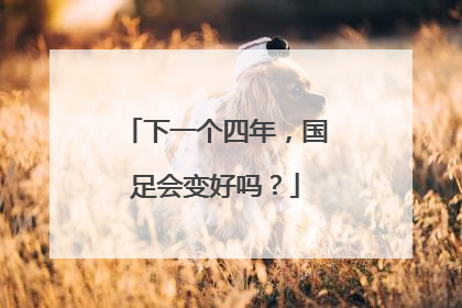 下一个四年，国足会变好吗？