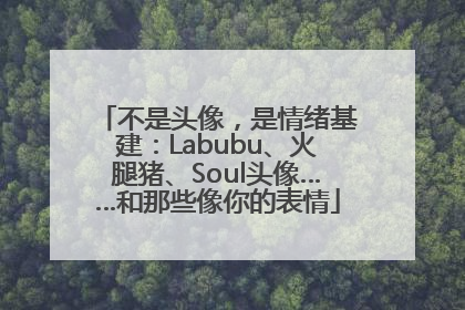 不是头像，是情绪基建：Labubu、火腿猪、Soul头像……和那些像你的表情