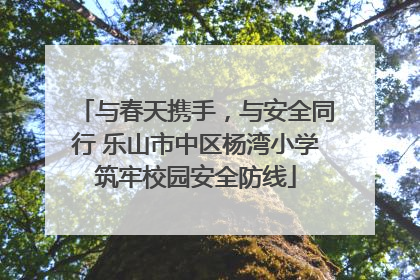 与春天携手，与安全同行 乐山市中区杨湾小学筑牢校园安全防线