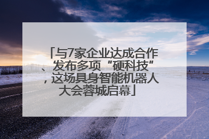 与7家企业达成合作、发布多项“硬科技”，这场具身智能机器人大会蓉城启幕