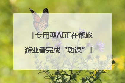专用型AI正在帮旅游业者完成“功课”
