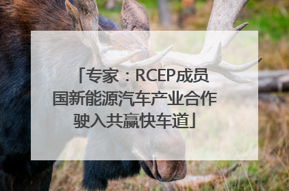 专家：RCEP成员国新能源汽车产业合作驶入共赢快车道