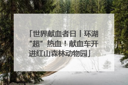 世界献血者日丨环湖“超”热血！献血车开进红山森林动物园