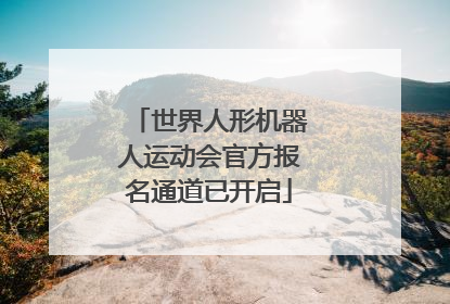 世界人形机器人运动会官方报名通道已开启