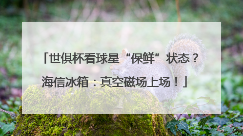 世俱杯看球星“保鲜”状态？海信冰箱：真空磁场上场！