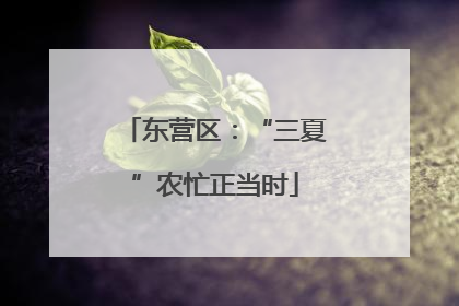 东营区：“三夏”农忙正当时