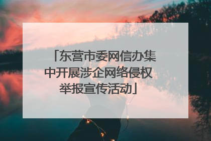 东营市委网信办集中开展涉企网络侵权举报宣传活动